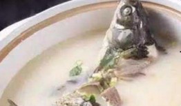 落汤鱼最新爆料图片视频,独家图片视频大揭秘！