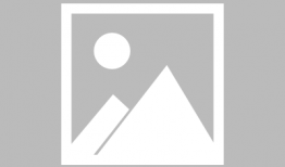 派对之星最新爆料下载,揭秘明星狂欢幕后故事